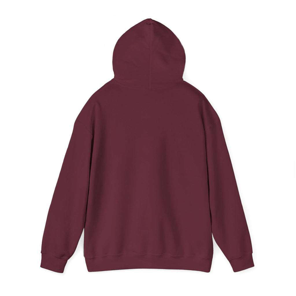 Men Hoodie