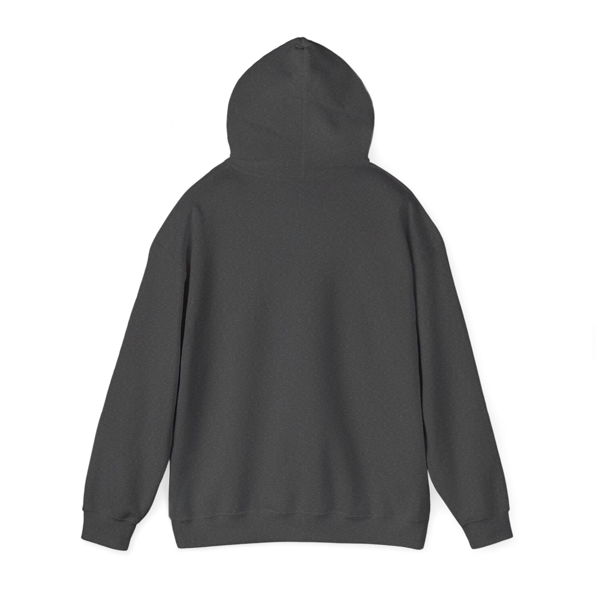 Men Hoodie