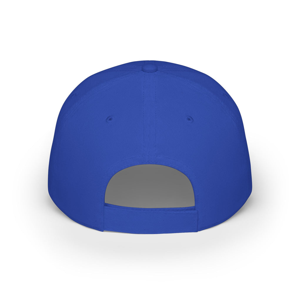 Paint Slinger Low Profile Cap — Graffiti Spray Painter Hat