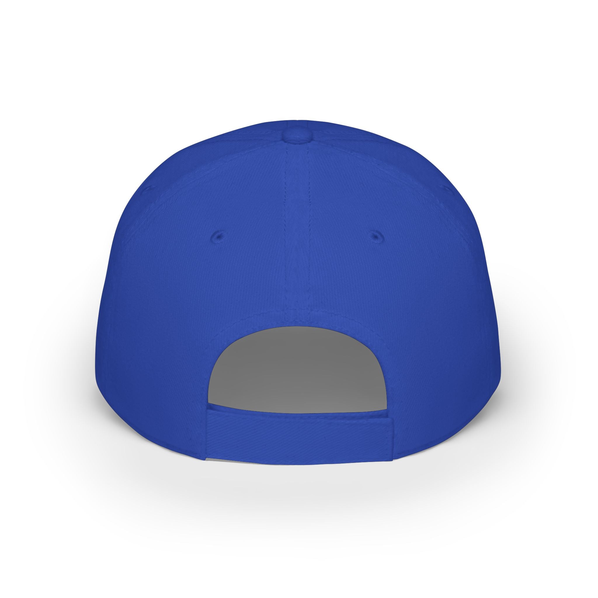 Paint Slinger Low Profile Cap — Graffiti Spray Painter Hat