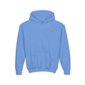 Youth Hoodie