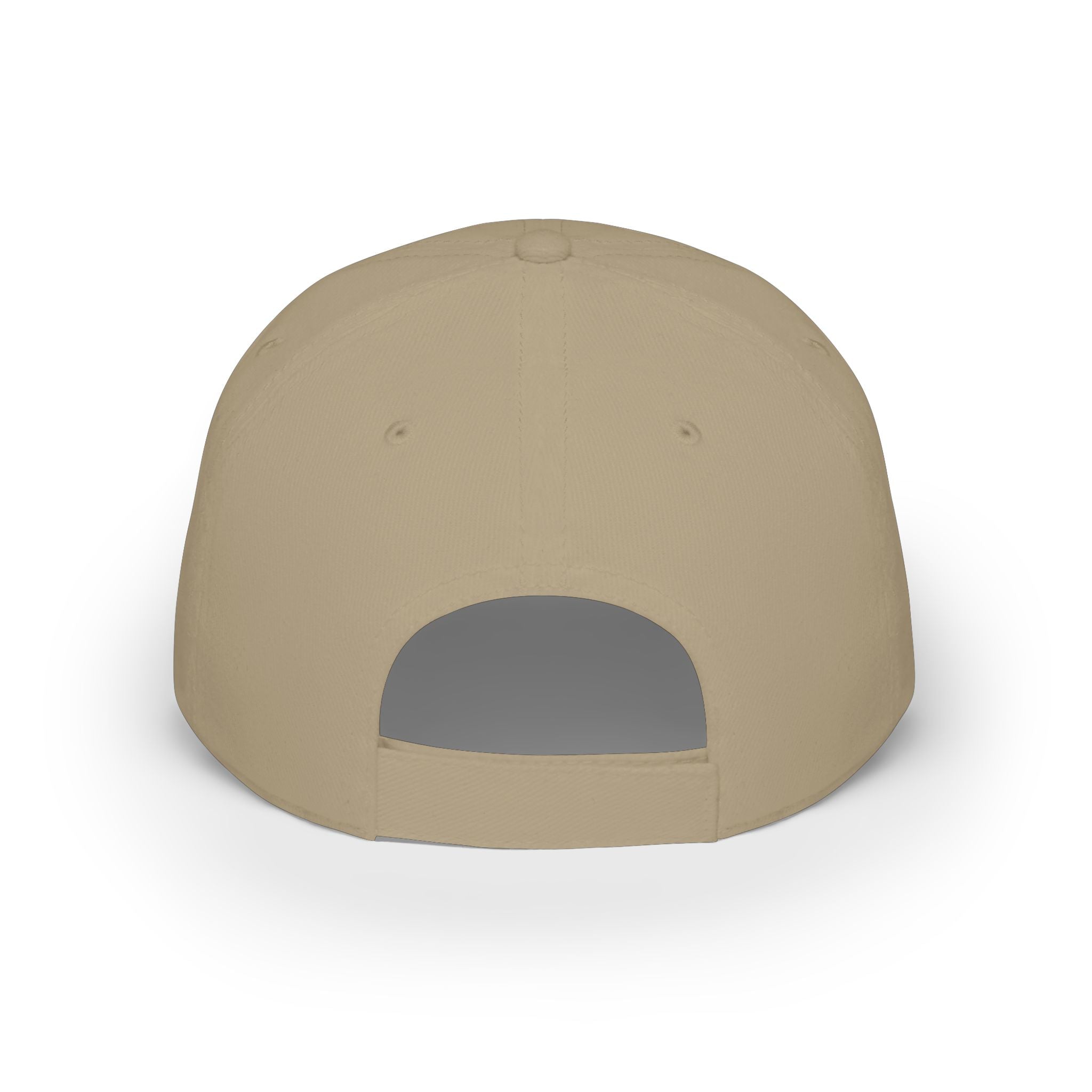 Paint Slinger Low Profile Cap — Graffiti Spray Painter Hat