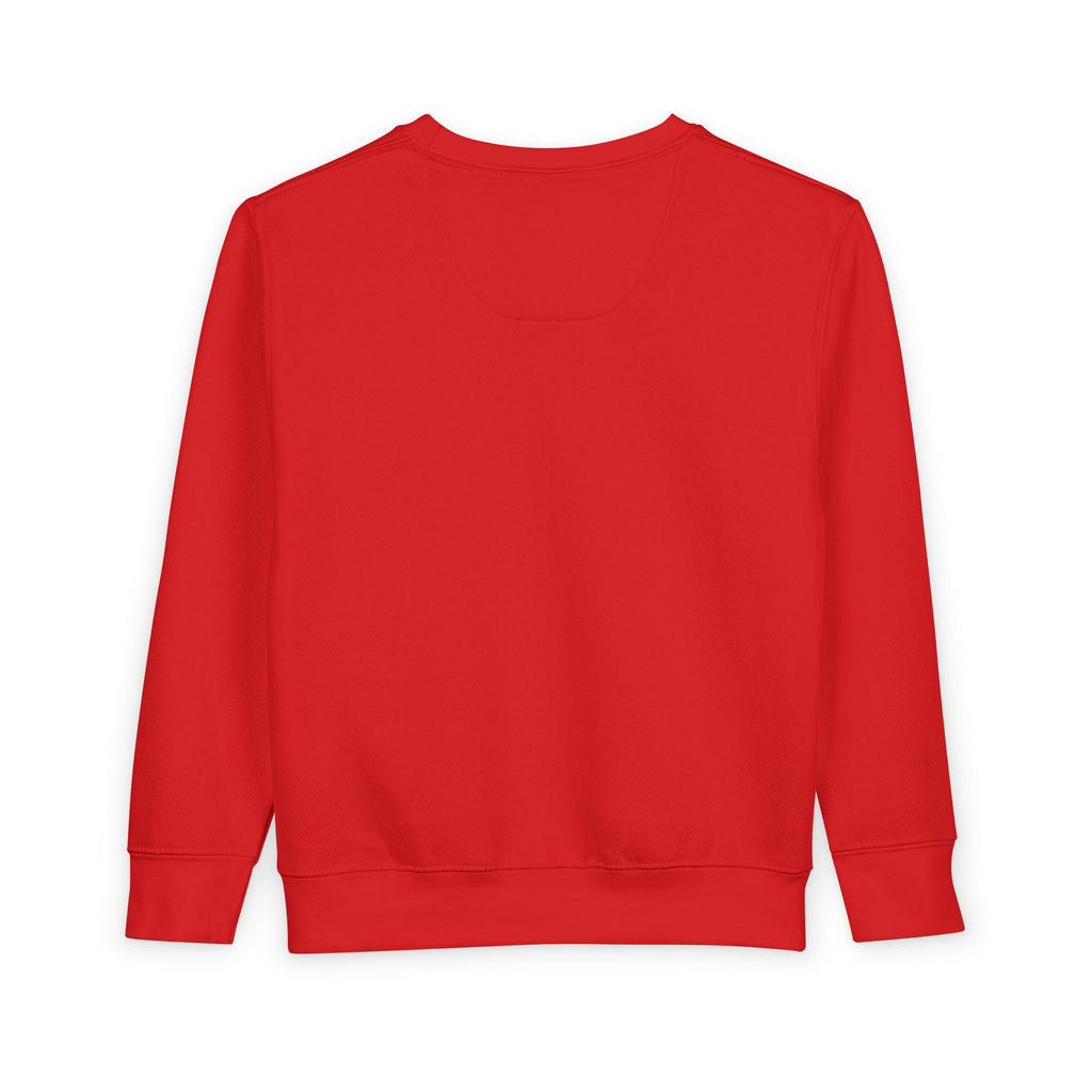 Toddler Sweatshirt