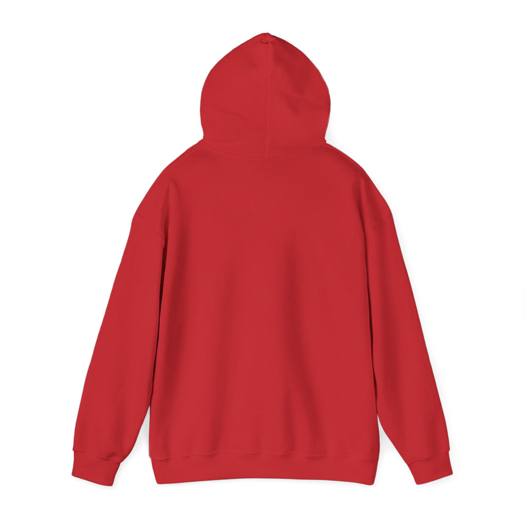 Men Hoodie