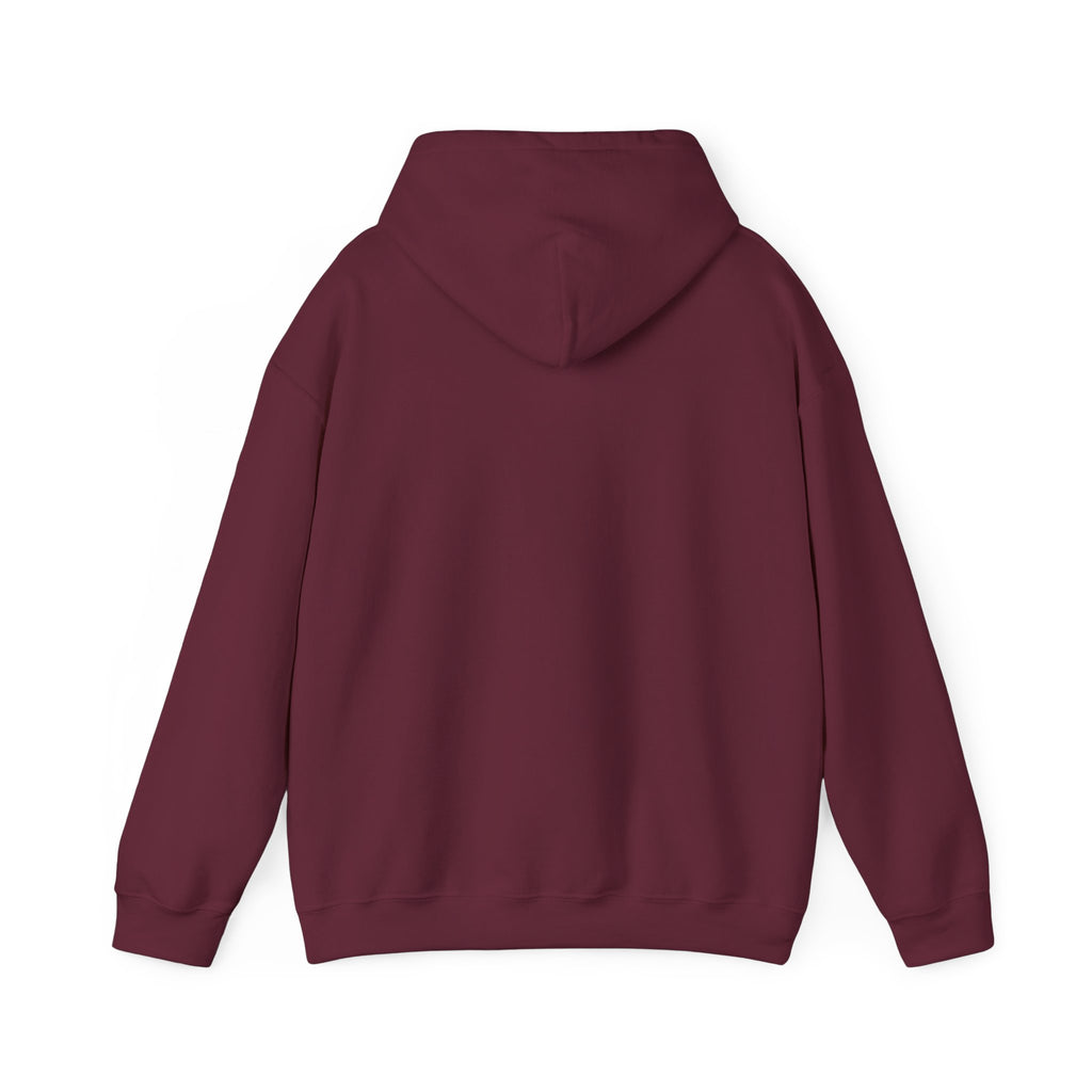 Men Hoodie